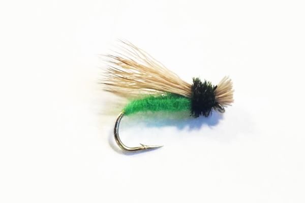 Collared Caddis - Hazy Fly Fishing