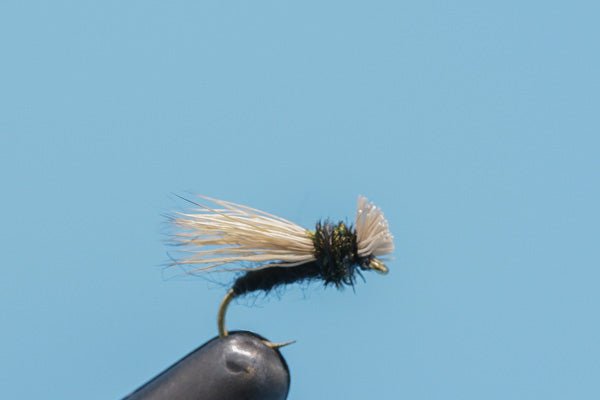 Collared Caddis - Hazy Fly Fishing