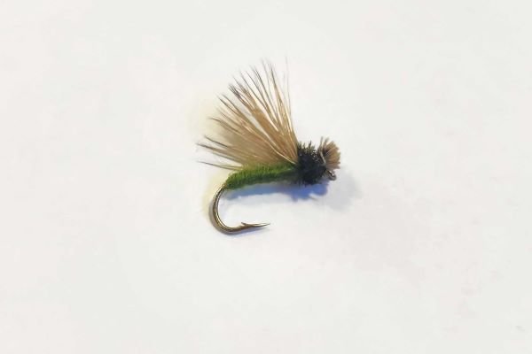 Collared Caddis - Hazy Fly Fishing