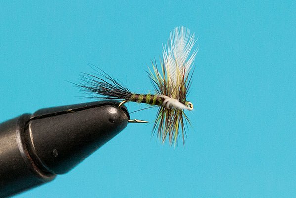 Colorado Green Drake - Hazy Fly Fishing
