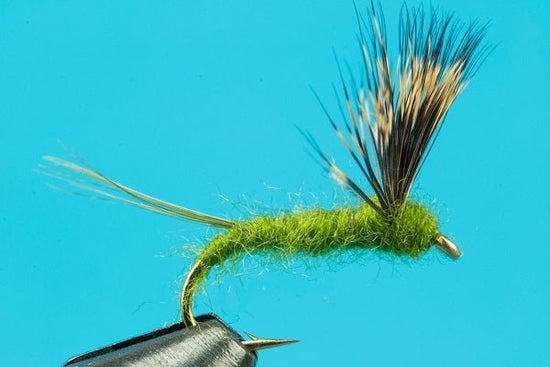 Comparadun - Hazy Fly Fishing