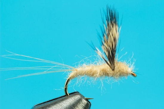 Comparadun - Hazy Fly Fishing