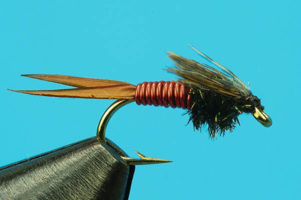 Copper John - Hazy Fly Fishing