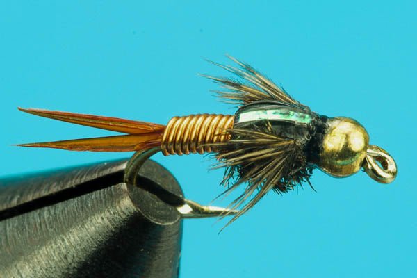 Big Y Fly Co