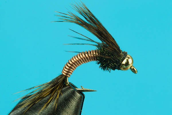 Copper John Emerger - Beadhead - Hazy Fly Fishing