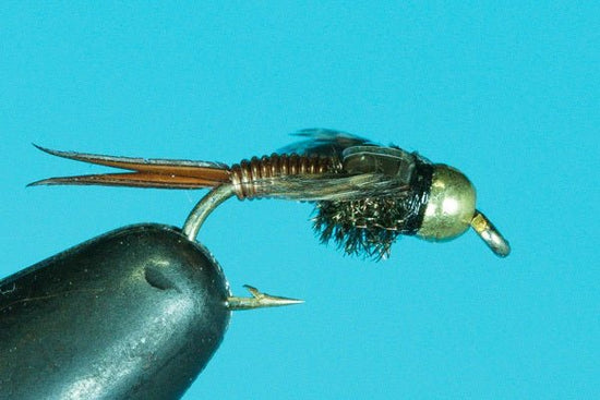 Copper John - Tungsten - Hazy Fly Fishing