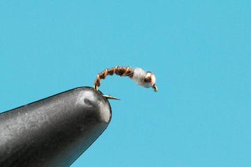Copper Midge - Tungsten - Hazy Fly Fishing