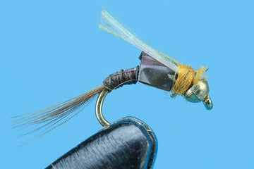 Cosmic Baetis - Tungsten - Hazy Fly Fishing