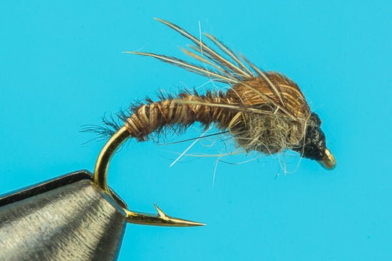 Cove's Pheasant Tail - Hazy Fly Fishing