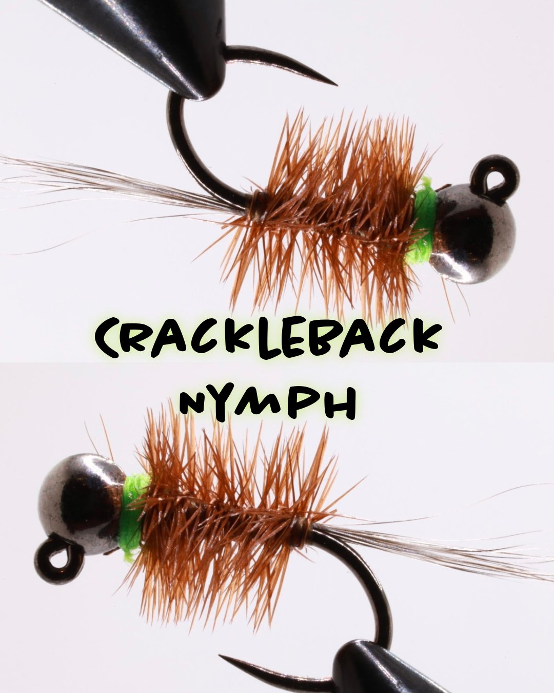 Crackle Back Nymph - Hazy Fly Fishing