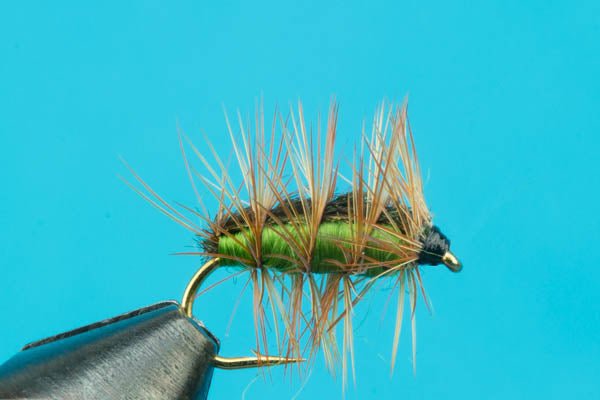Crackleback - Hazy Fly Fishing