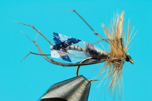 Cranefly - Hazy Fly Fishing