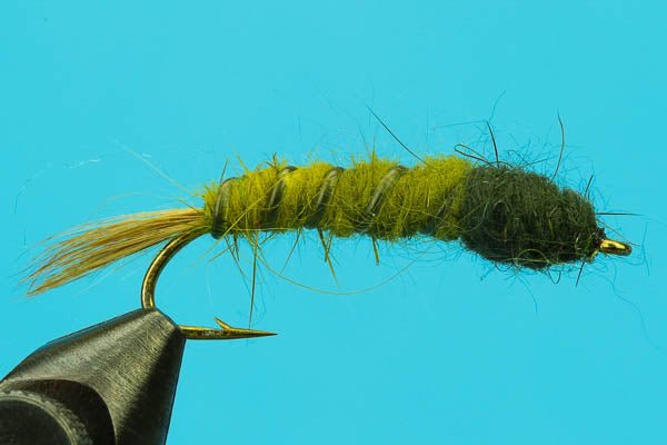 Cranefly Larva - Hazy Fly Fishing