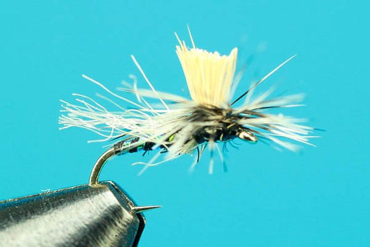 Crippled Caddis - Hazy Fly Fishing