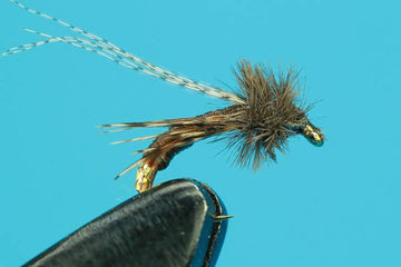 Critical Caddis - Hazy Fly Fishing