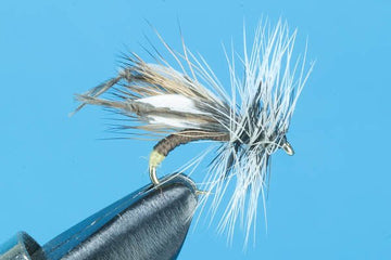 Curmedgeon Crumpler - Hazy Fly Fishing