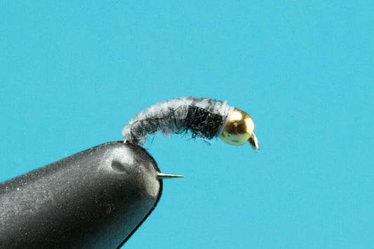 Czech Bug - Beadhead - Hazy Fly Fishing