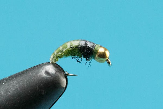 Czech Bug - Beadhead - Hazy Fly Fishing
