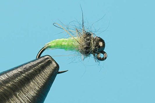 Czech Caddis - Tungsten (Barbless) - Hazy Fly Fishing