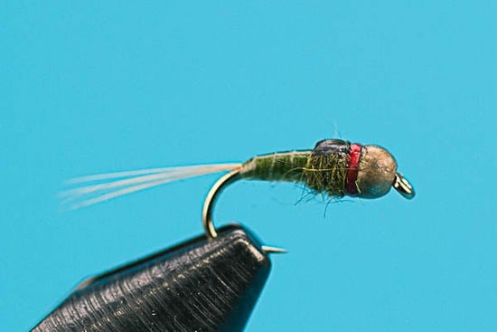 Czech Master - Tungsten - Hazy Fly Fishing