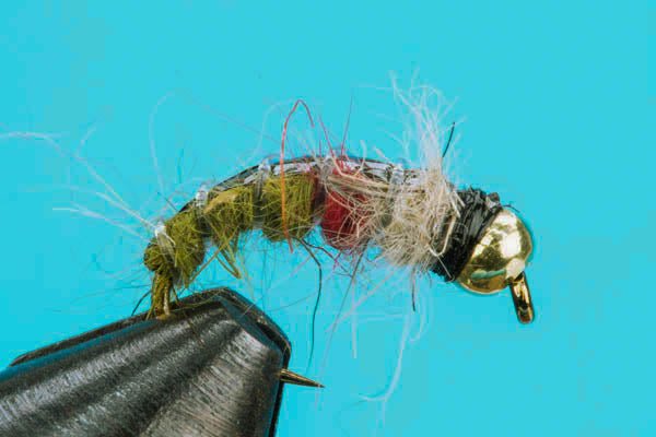 Czech Mate - Beadhead - Hazy Fly Fishing