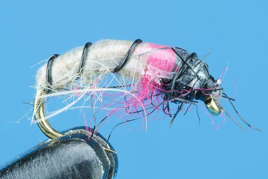 Czech Rainbow Nymph - Hazy Fly Fishing