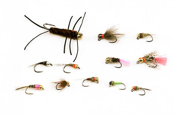 Czech/Euro Nymph Assortment - 24 Flies 15 - Hazy Fly Fishing