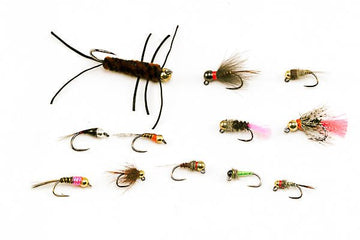 Czech/Euro Nymph Assortment - 24 Flies 15 - Hazy Fly Fishing