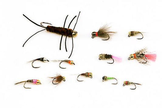 Czech/Euro Nymph Assortment - 24 Flies 15 - Hazy Fly Fishing