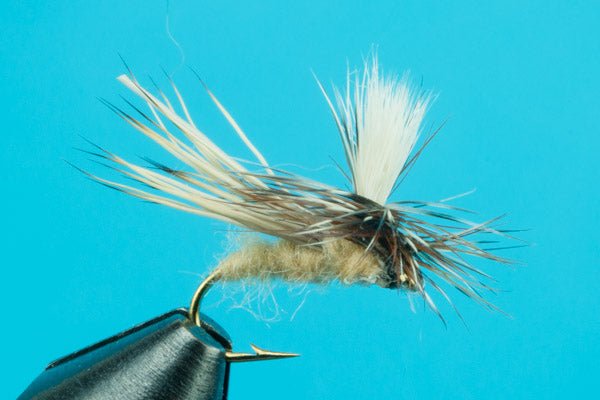 Dancing Caddis - Hazy Fly Fishing