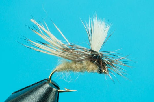 Dancing Caddis - Hazy Fly Fishing