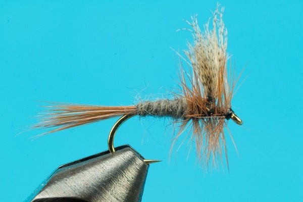 Dark Cahill - Hazy Fly Fishing