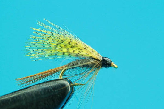 Dark Cahill Wet Fly - Hazy Fly Fishing