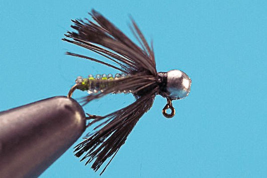 Dazzle Caddis - Tungsten - Hazy Fly Fishing