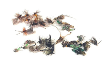 Deschutes Caddis Assortment - 36 Flies 10 - Hazy Fly Fishing