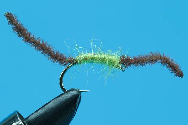 Dirty Worm - Hazy Fly Fishing