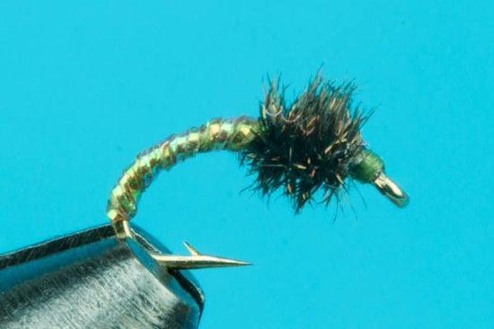 Disco Midge - Hazy Fly Fishing