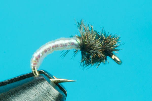 Disco Midge - Hazy Fly Fishing