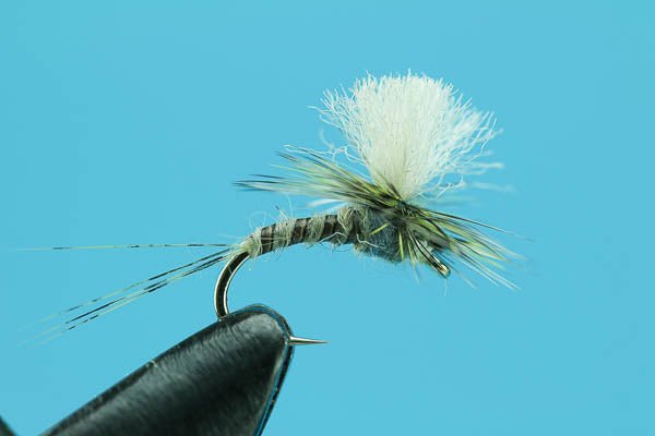 Doctor Drake - Hazy Fly Fishing