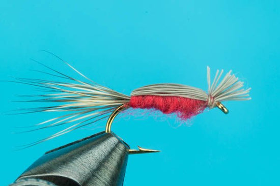 Doodle Bug - Hazy Fly Fishing
