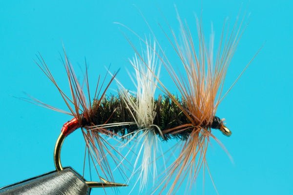 Double Renegade - Hazy Fly Fishing