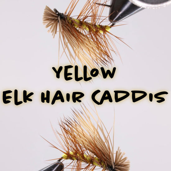Dozen - Elk Hair Caddis Yellow - Hazy Fly Fishing