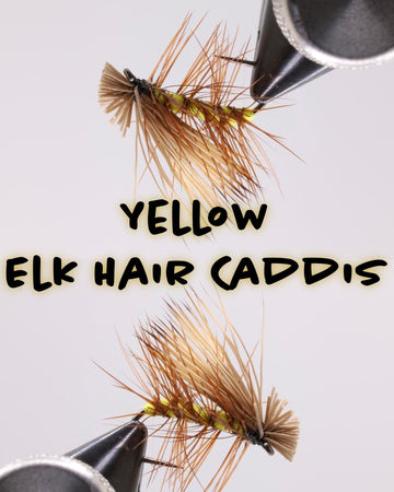 Dozen - Elk Hair Caddis Yellow - Hazy Fly Fishing