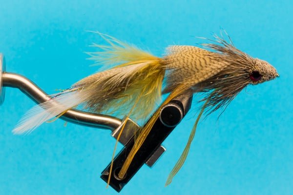 Drunk N' Disorderly - Hazy Fly Fishing