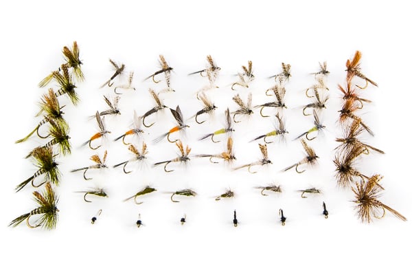 Eastern Dry Fly Assortment - 48 Flies 24 - Hazy Fly Fishing