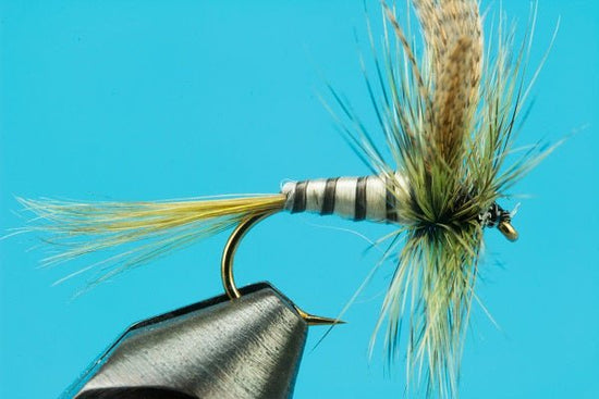 Eastern Green Drake - Hazy Fly Fishing
