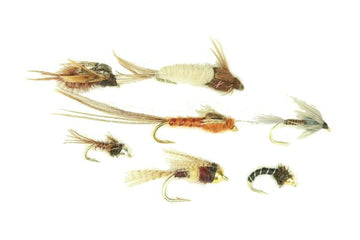 Eastern Nymph Assortment - 48 Flies 25 - Hazy Fly Fishing