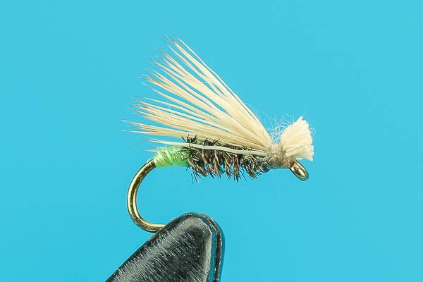 Egg Laying Caddis - Hazy Fly Fishing