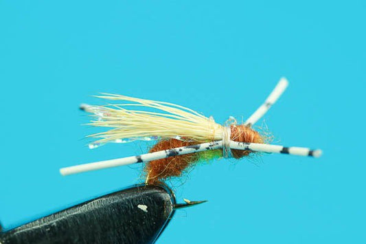 Elk Ant - Hazy Fly Fishing