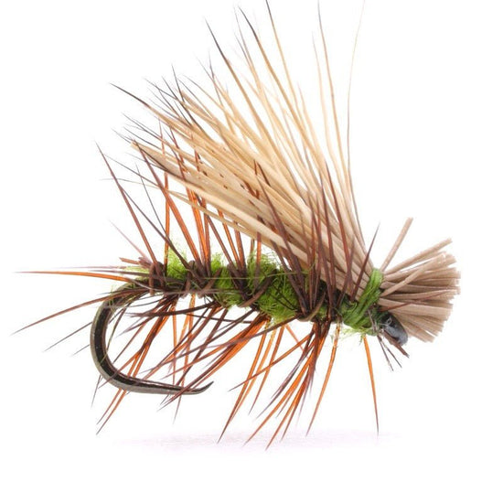 Elk Hair Caddis Olive - Hazy Fly Fishing